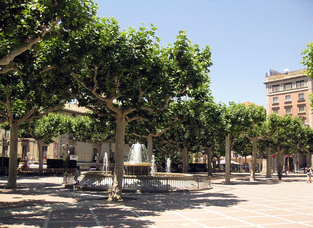 tarregaCarme